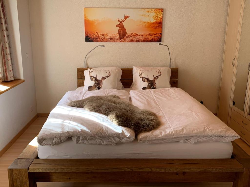 un chat sur le lit dans l'établissement Fluehblüemli, à Grindelwald