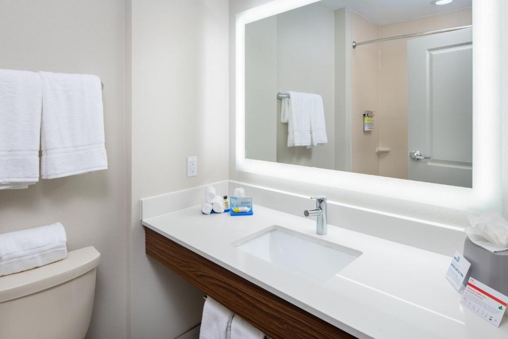 Holiday Inn Express Hotel & Suites Dallas South - DeSoto by IHG - Habitación Estándar