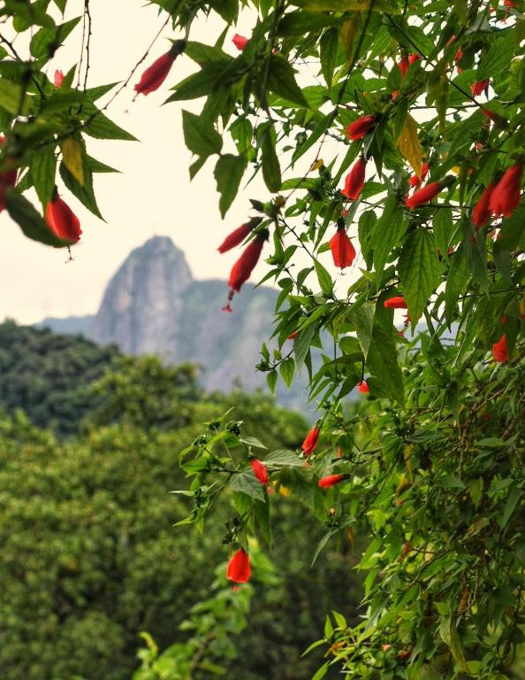  Eco Pousada Estrelas da Babilônia