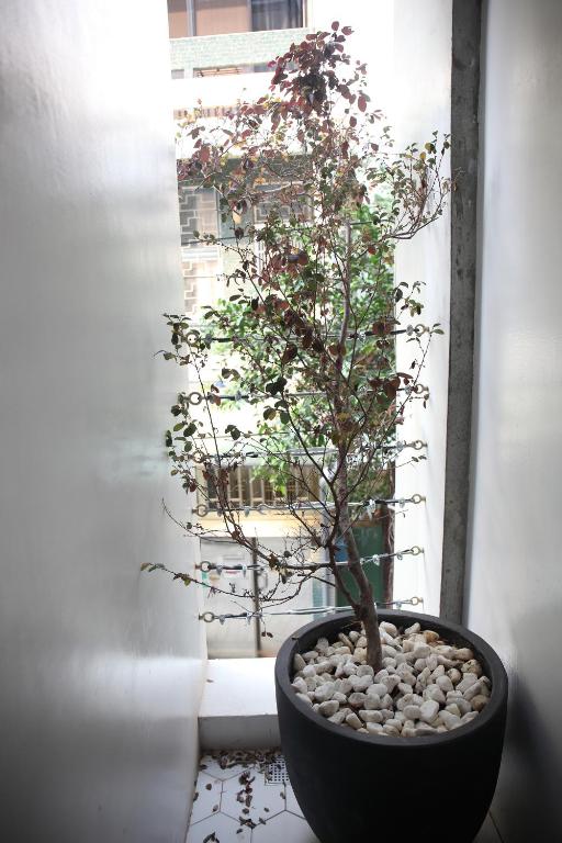 Fotografie z fotogalerie ubytování Spring Guest House v destinaci Tchaj-nan