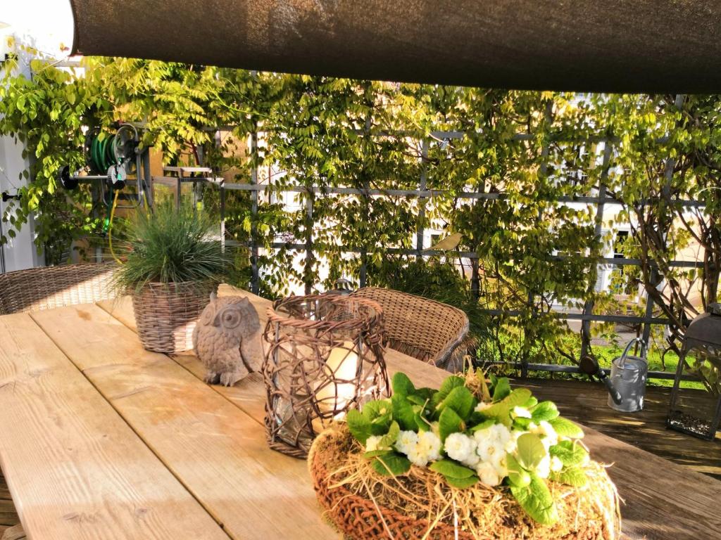 Zahrada ubytování Ampervilla Hotel