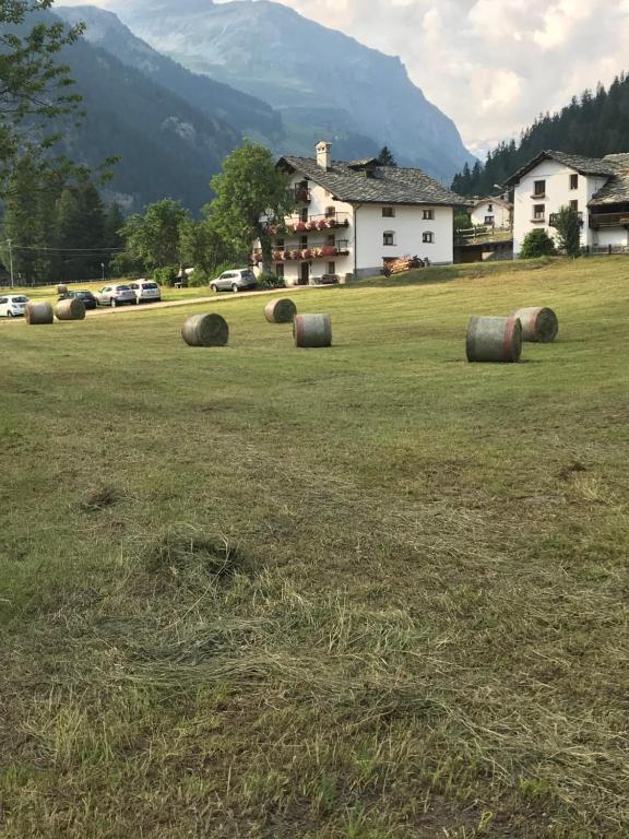 un campo di balle di fieno in un campo con una casa di Flora Alpina apartments-Residenza Verdebjo a Gressoney-Saint-Jean