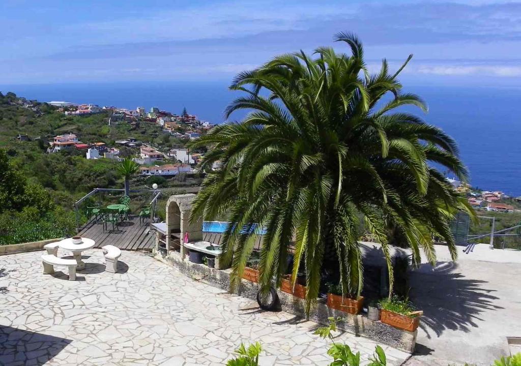 una palmera sentada en la cima de una colina con el océano en Casa-Palo-Pique, en Icod de los Vinos