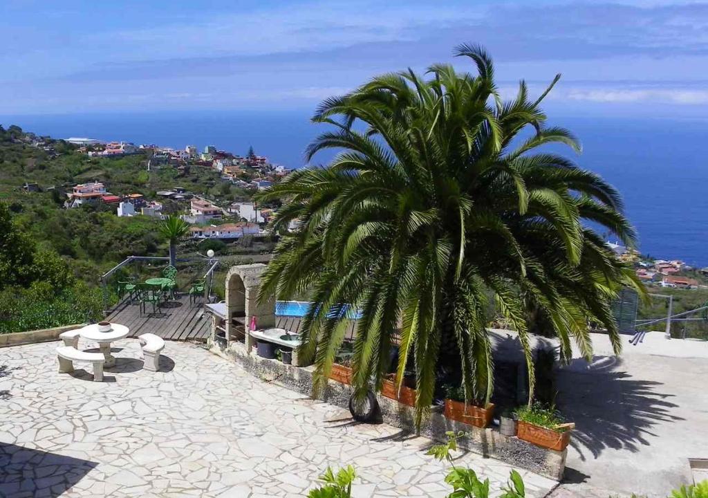 a palm tree sitting on top of a hill with the ocean at Apartment Mariposa Azul in Icod de los Vinos