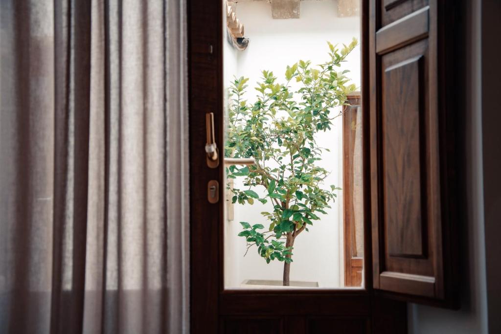 Fotografie z fotogalerie ubytování Giardino Sul Duomo v destinaci Ragusa
