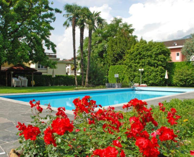 una piscina con flores rojas en un patio en Ferienwohnung mit Garten und Pool in Ascona, en Ascona