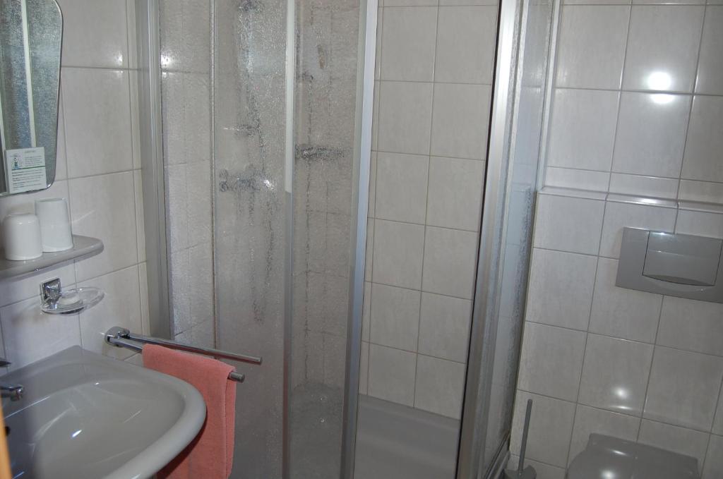 Landgasthaus Pfahl - Budget Single Room