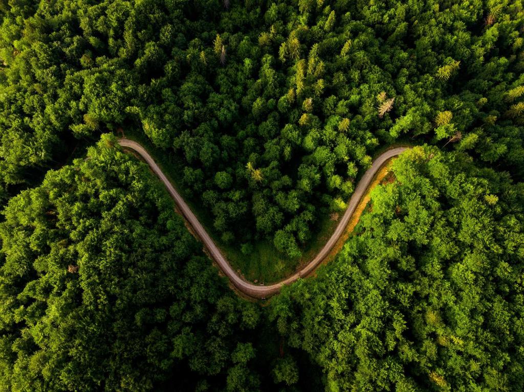 an aerial view of a road in the middle of a forest at Grand Hotel in Braşov