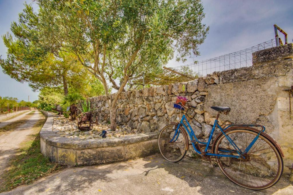 Jízda na kole v ubytování Ideal Property Mallorca - Vernissa nebo okolí