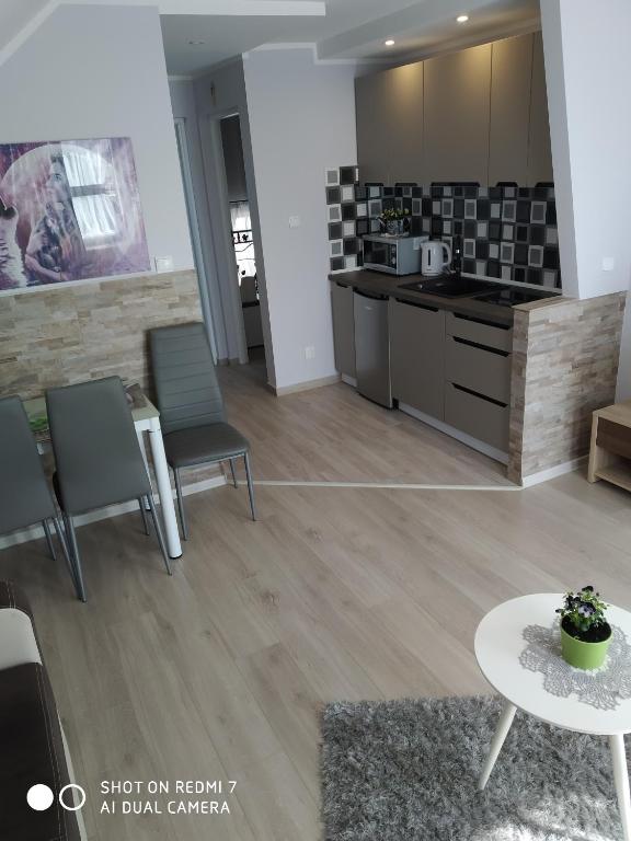 Kuchyň nebo kuchyňský kout v ubytování Apartamenty u" Lusi"