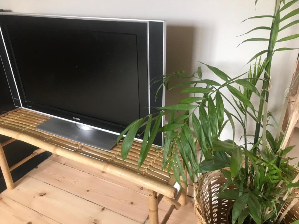 Televiisor ja/või meelelahutuskeskus majutusasutuses Botanikerns hus