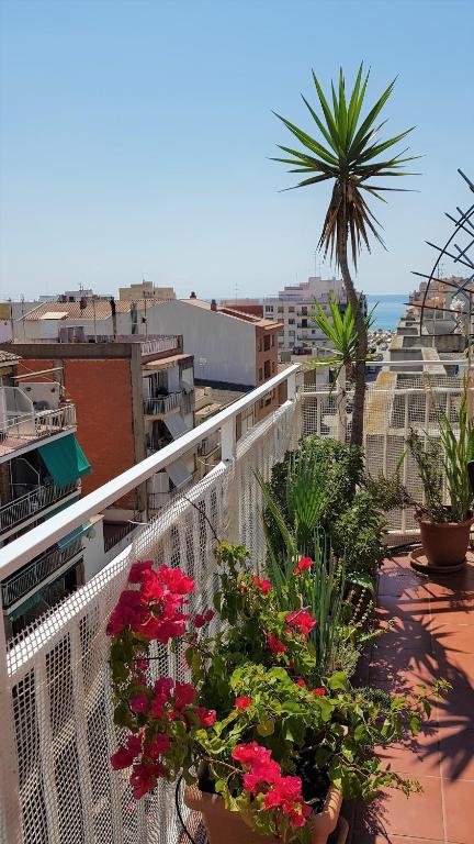 Apartamento Mediterraneo, Pineda de Mar – Bijgewerkte prijzen ...
