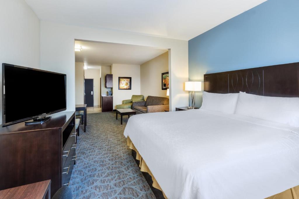 Holiday Inn Express Hotel & Suites Floresville by IHG - Suite King Con Divano Letto