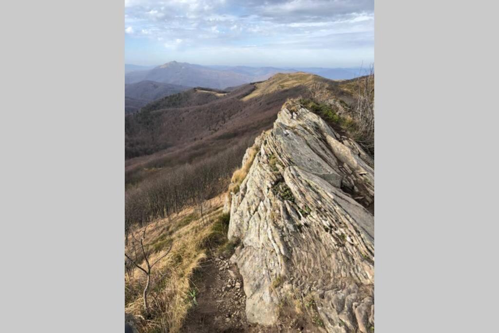 Fotografia z galérie ubytovania Kardaszówka Bieszczady v destinácii Bezmichowa Dolna