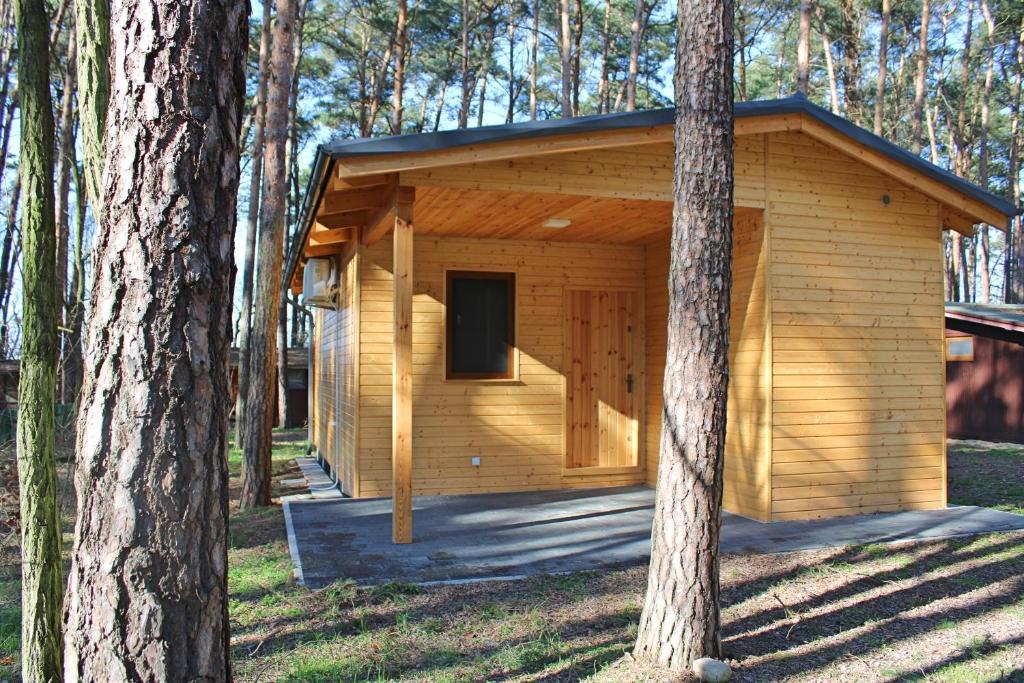una pequeña cabaña de madera en el bosque con árboles en Świerkowy domek, en Boszkowo