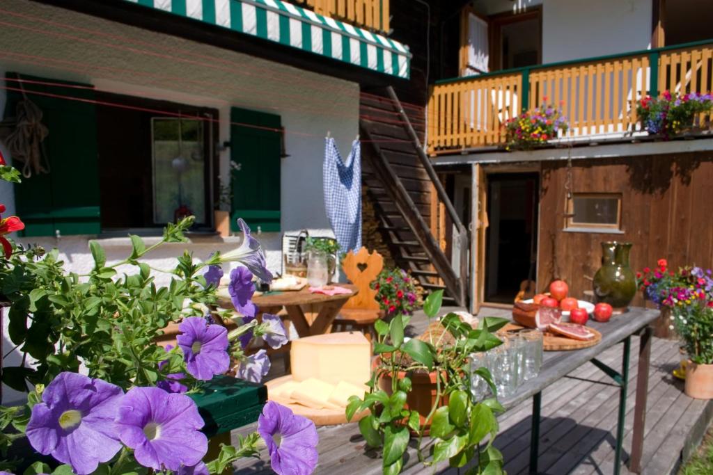 Zahrada ubytování Almhütte & Skihütte Kohlerhaus