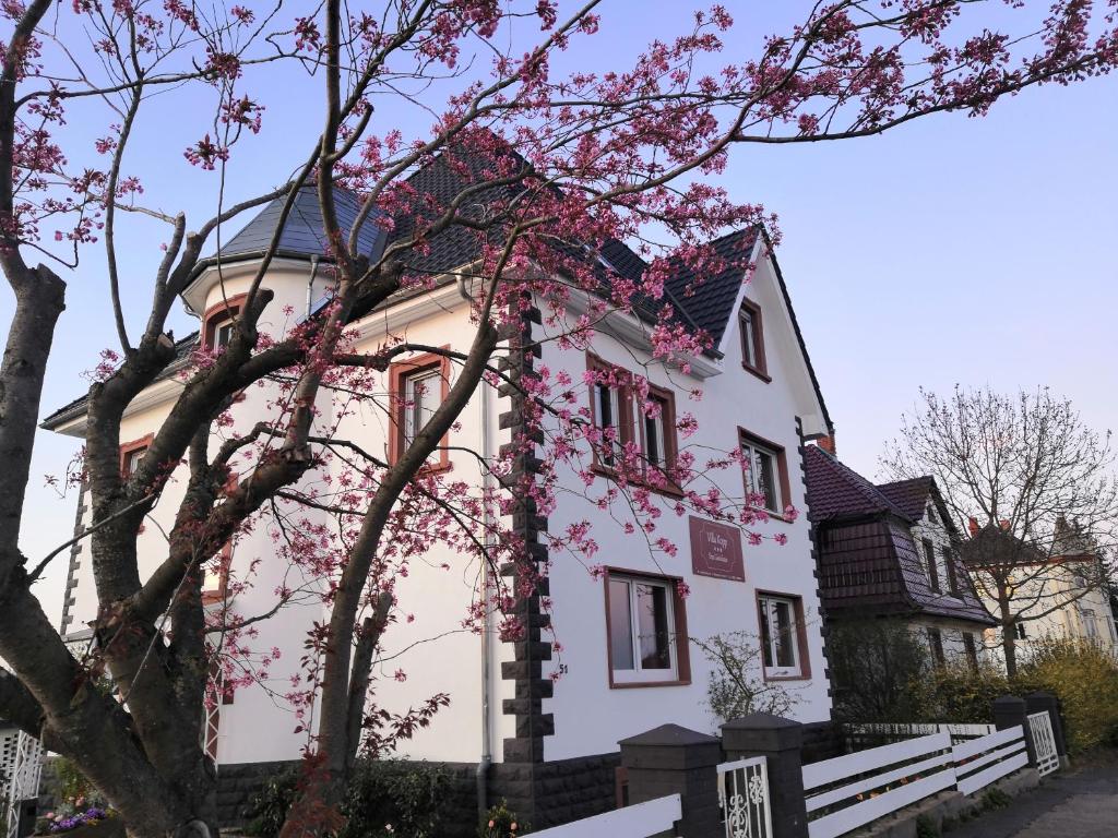 ein rosa und weißes Haus mit einem Baum in der Unterkunft Villa Kopp-Das Gästehaus in Höpfingen