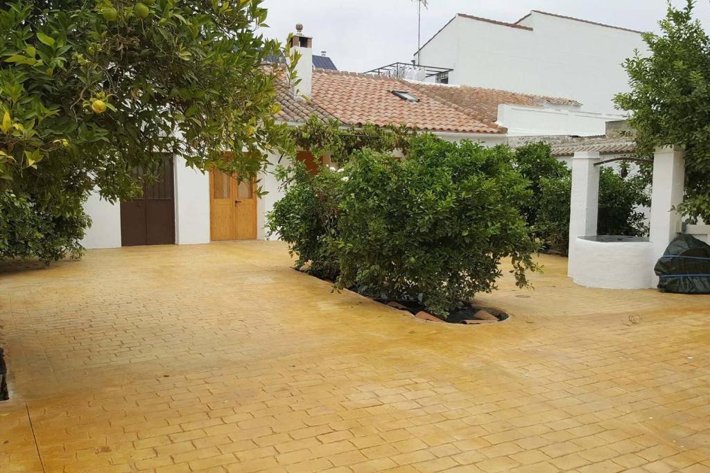 a courtyard with trees in front of a building at GRAN CASA RURAL CON PATIO EN ENCINAREJO DE CÓRDOBA in Encinarejo De Córdoba