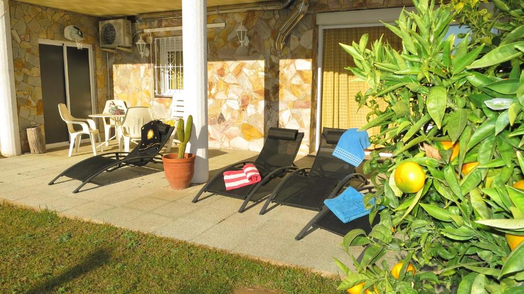 Zahrada ubytování Villa Carolina
