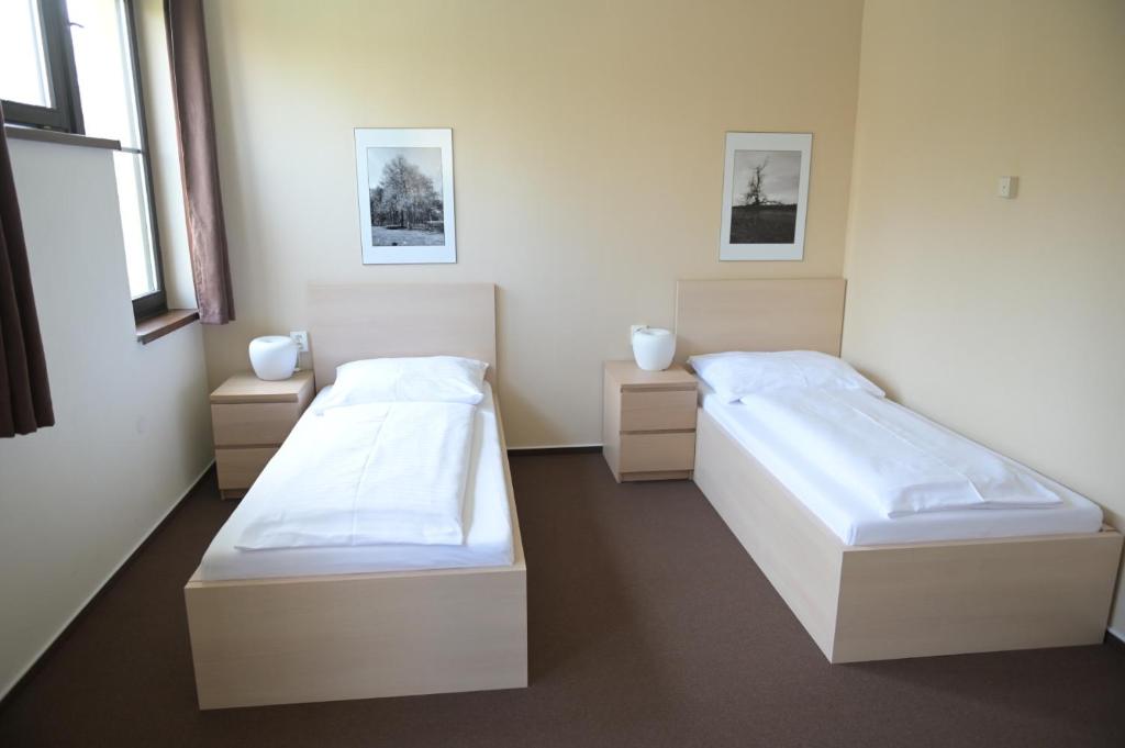 Postel nebo postele na pokoji v ubytování Penzion Švýcarský dům