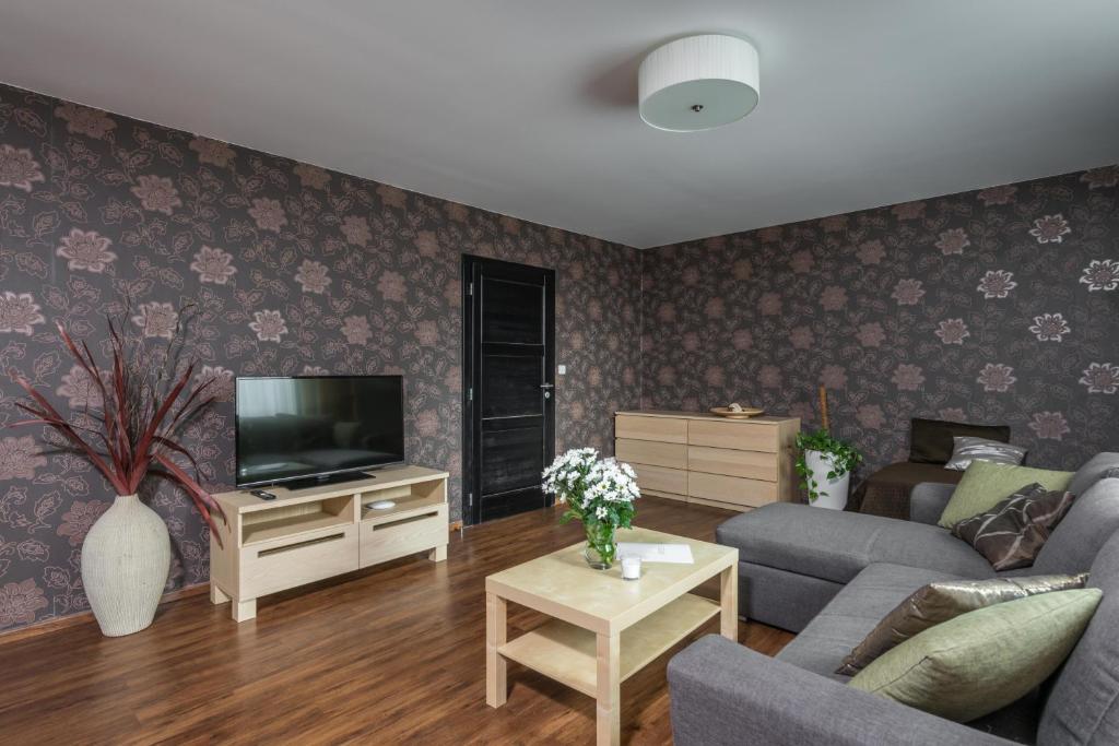 TV a/nebo společenská místnost v ubytování Apartmány 294