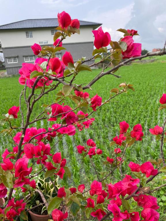 Zahrada ubytování 稻哪趣田園民宿 平價villa