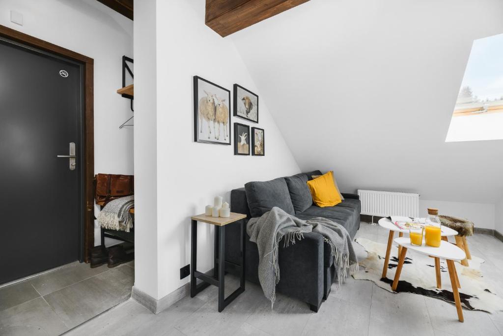 Posezení v ubytování Aparthotel Narciarska 2