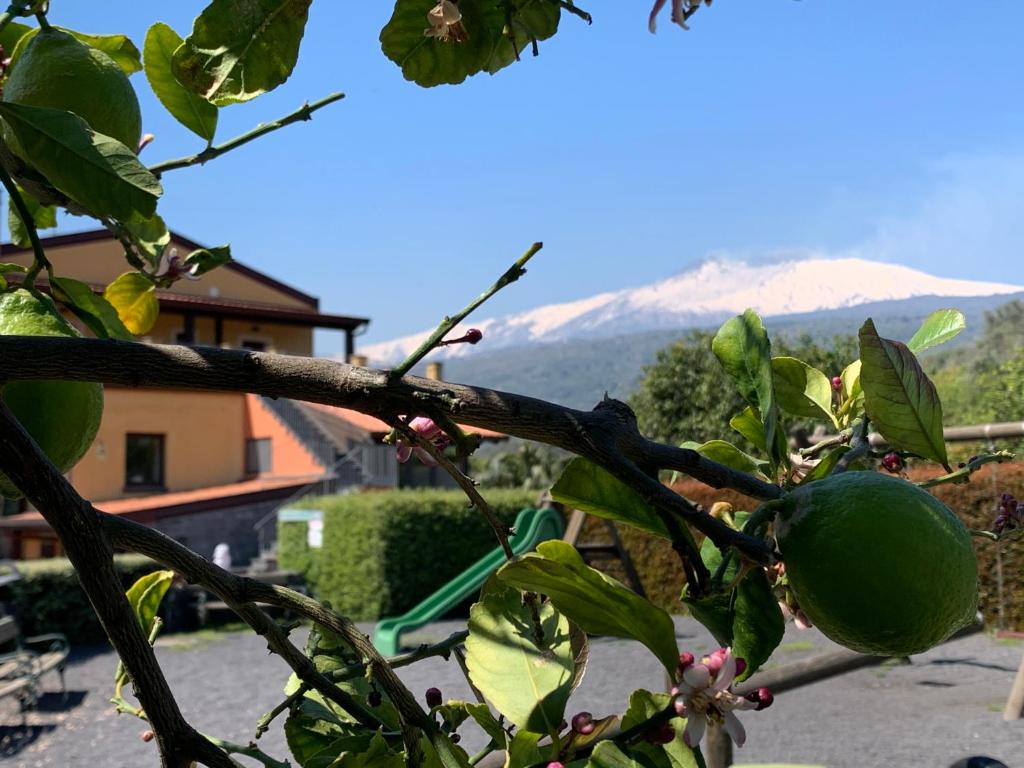 Widok na góry z tego obiektu B&B