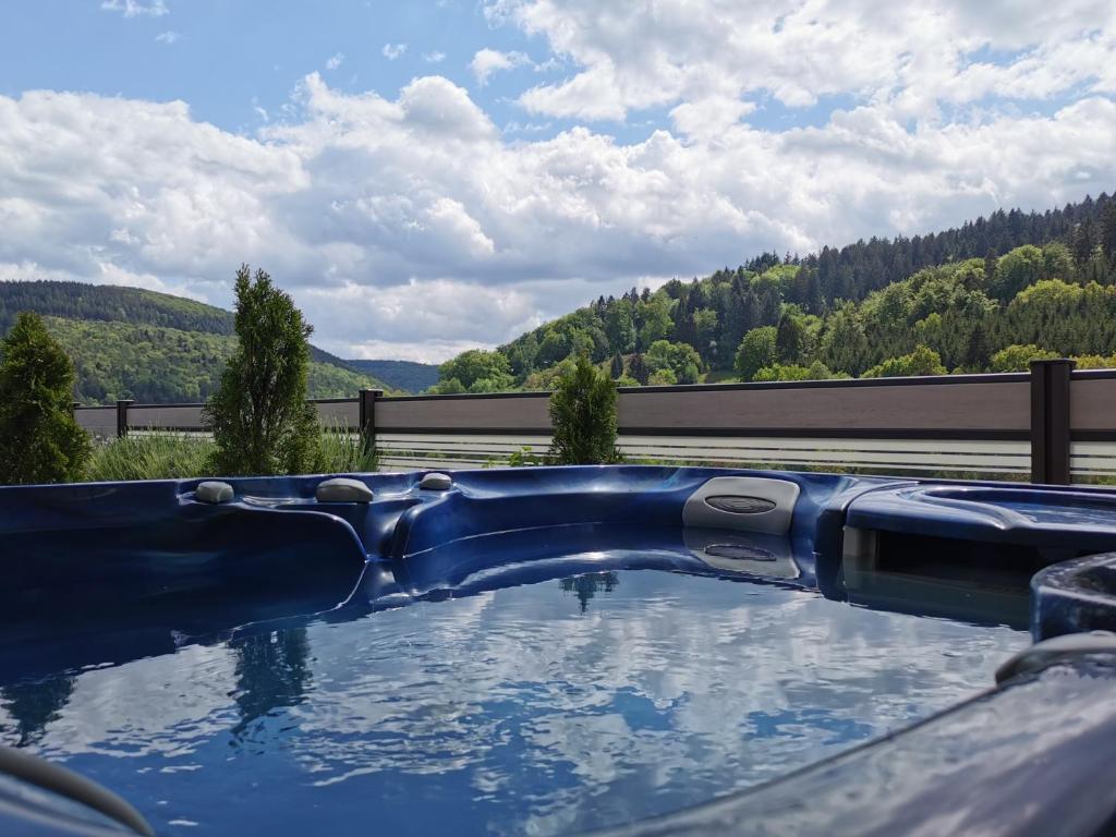 uma piscina de água com vista para uma montanha em Wellness FeWo Szymecki em Schönau