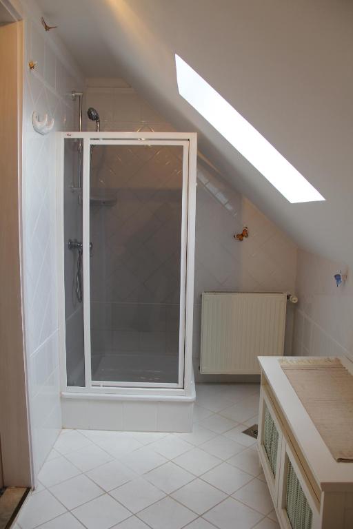 a bathroom with a shower with a glass door at ALPHA in Badacsonytördemic