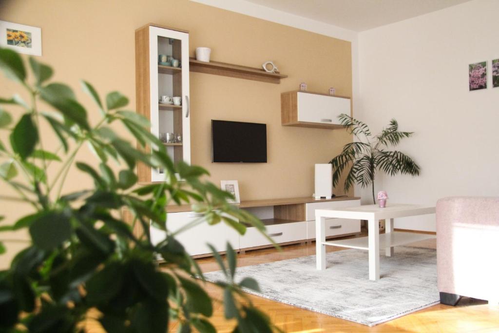 sala de estar con mesa y TV en Apartments Marina, en Sveti Filip i Jakov