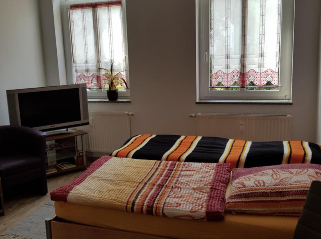 a bedroom with a bed and a flat screen tv at Ferienwohnung zum "Kemmler" in Plauen