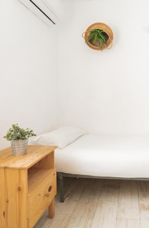 Posteľ alebo postele v izbe v ubytovaní Picnic Dreams Boutique Hostel