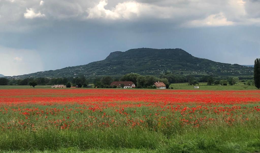 Výhľad na hory alebo výhľad na hory priamo z dovolenkového domu