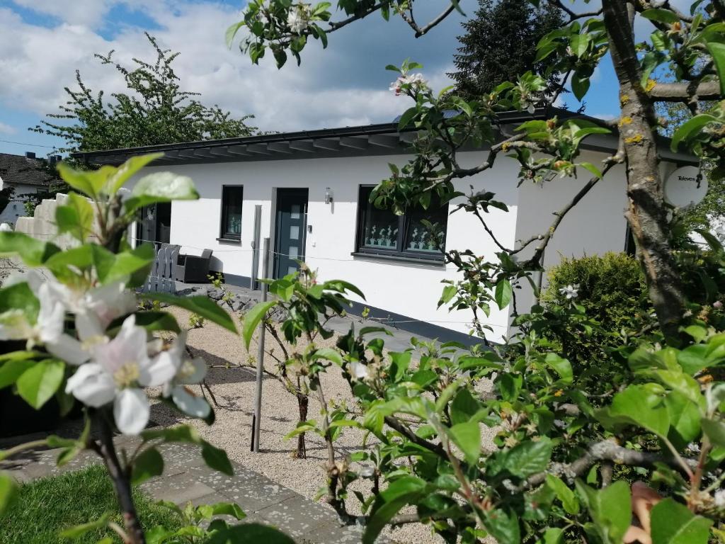 vistas a la casa desde el jardín en Ferienhaus am Apfelbaum, en Andernach