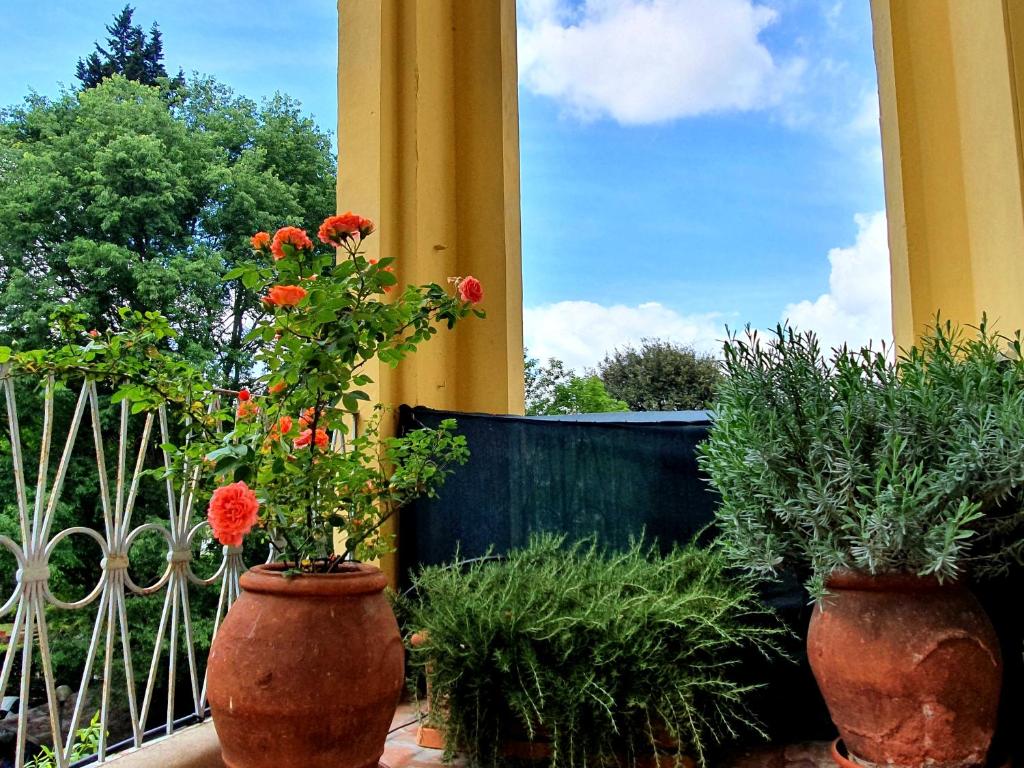 Hotel Annalena - Resim 33