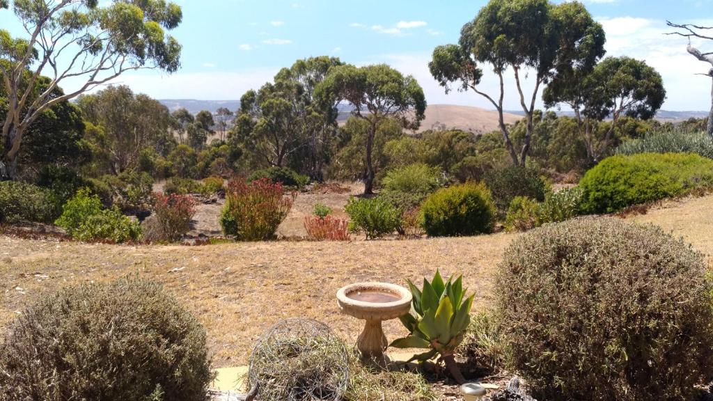 a birdbath in a garden with trees and bushes w obiekcie Austiny Bed and Breakfast Victor Harbor w mieście Victor Harbor