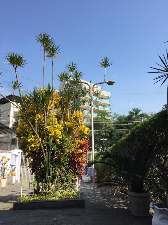 una calle con palmeras y un semáforo en Casa aconchegante em Vila Valqueire, en Río de Janeiro