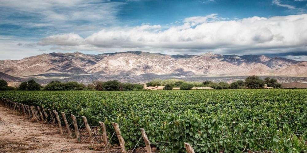 a field of crops with mountains in the background at Casa Mistol by Cafayate Holiday in Cafayate