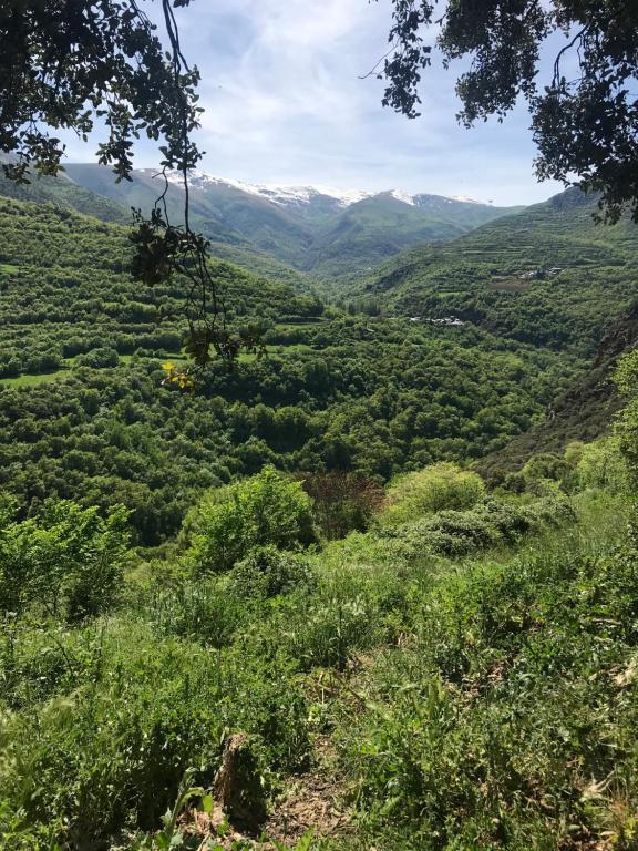 Apartamento La Serenidad - Rialp, Rialp – Updated 2022 Prices