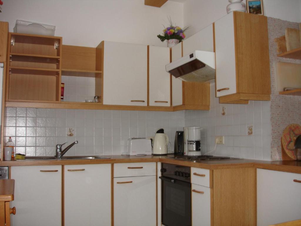 Kuchyň nebo kuchyňský kout v ubytování Apartment Janschitz Gundersheim