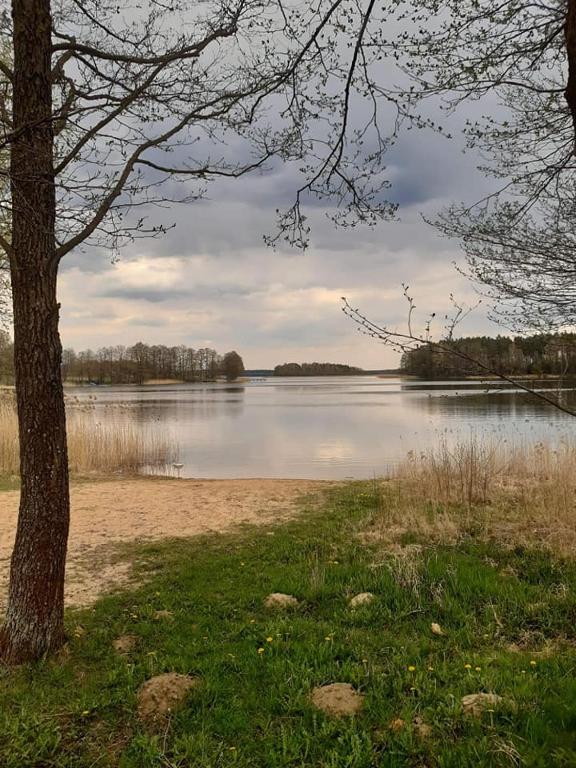 Příroda nedaleko kempu