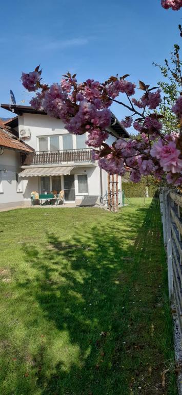 Zahrada ubytování Apartmaji Mojca