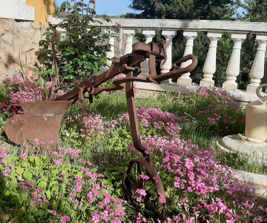 Jardín al aire libre en Apartamentos rurales La posada de Donato