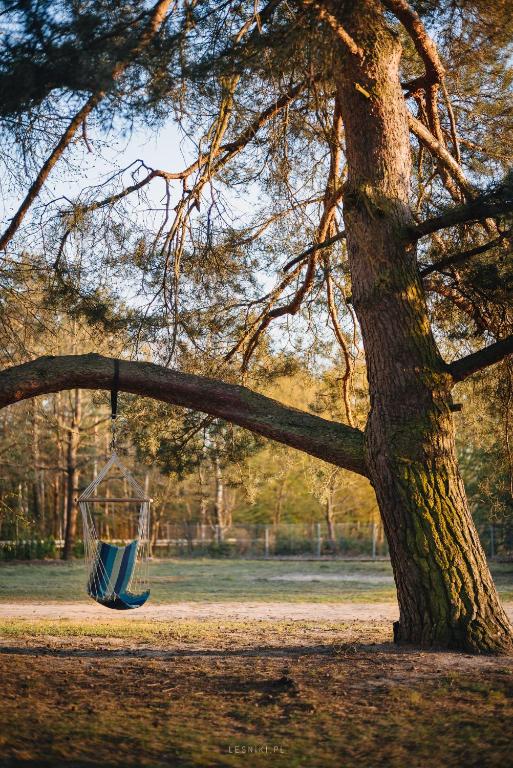 Fotografie z fotogalerie ubytování Leśniki v destinaci Babimost