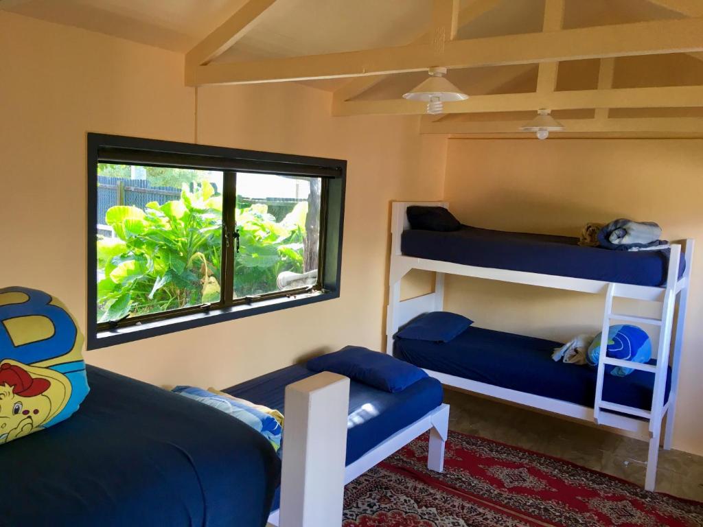 Raglan Backpackers - Resim 14