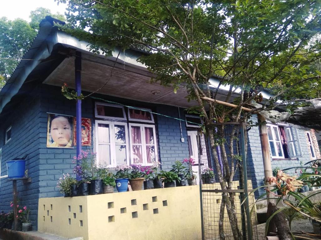 uma casa azul com um bebé na janela em Vamoose Tragopan em Aritar