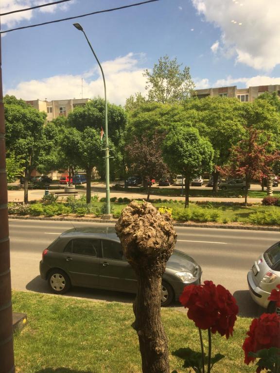Fotografia z galérie ubytovania Móra apartmanház v destinácii Kiskunfélegyháza
