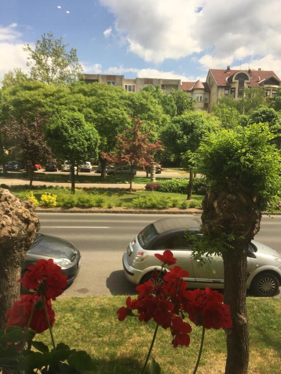 Fotografia z galérie ubytovania Móra apartmanház v destinácii Kiskunfélegyháza
