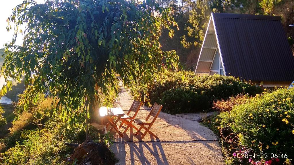 zwei Stühle unter einem Baum neben einem Haus in der Unterkunft Tuyết Hoa Hòn Bồ Homestay in Da Lat